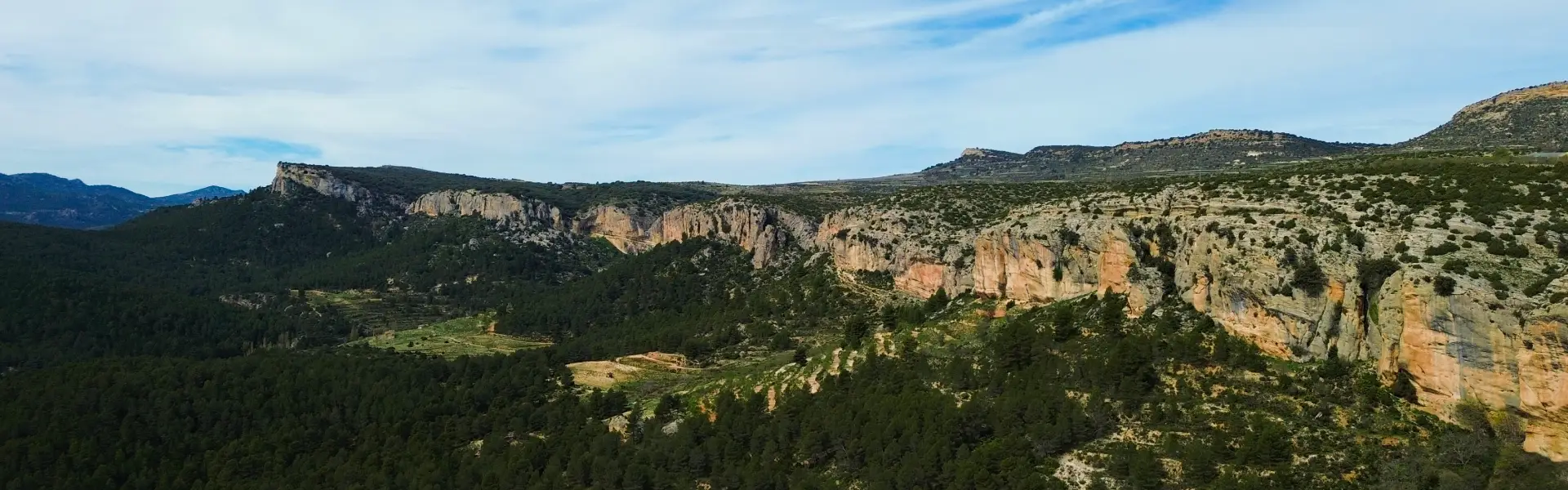 Paisaje acantilado con bosque frondoso debajo