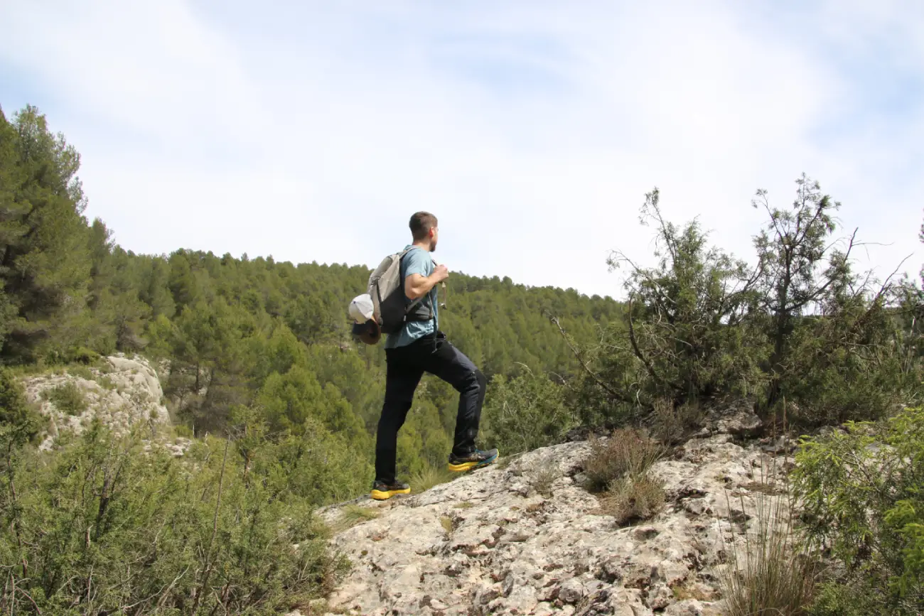 aventurero en una piedra con bosque de fondo