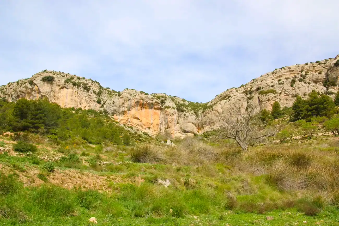 Paisaje con pared rocosa de fondo